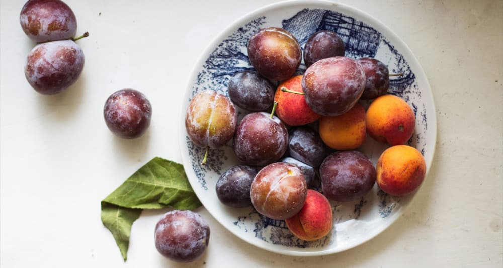 Foto ilustrativa do artigo: Cachorro pode comer ameixa?