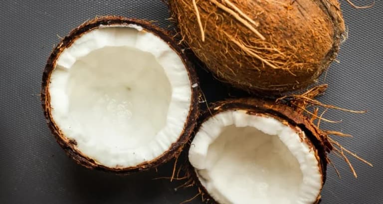 Foto ilustrativa do artigo: Cachorro pode comer coco? Benefícios e como dar