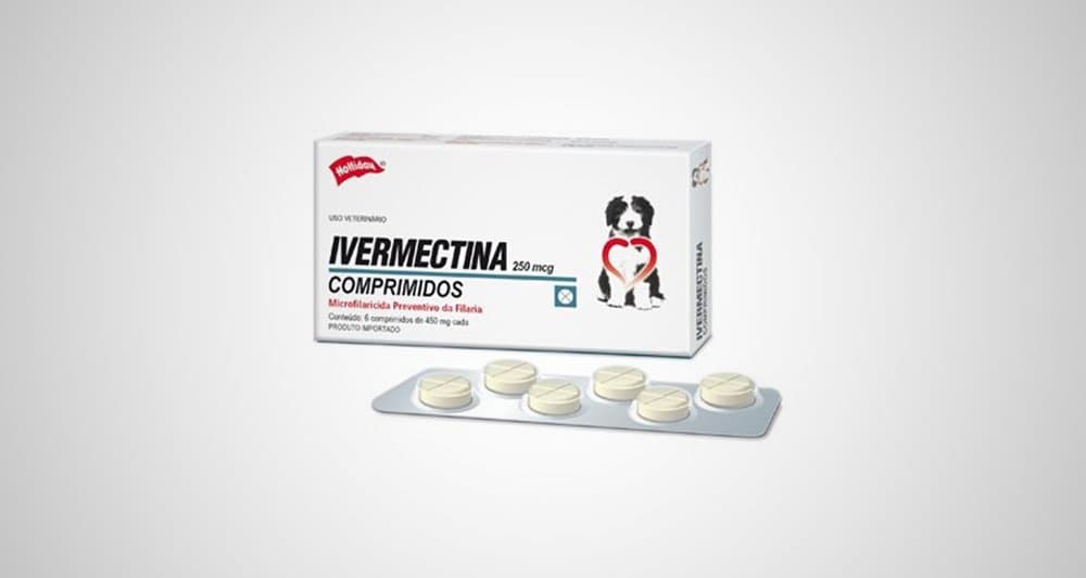 Foto ilustrativa do artigo: Ivermectina para cachorro: para que serve, como usar (e efeitos colaterais)