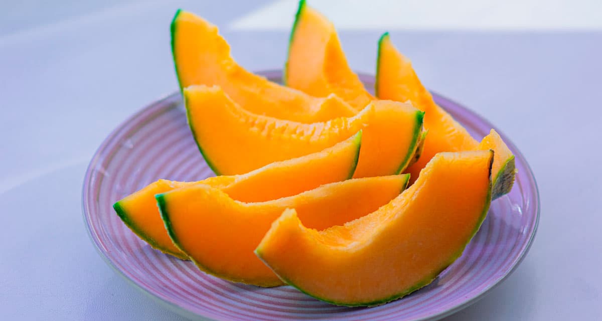 Foto ilustrativa do artigo: Cachorro pode comer melão? (com casca?)