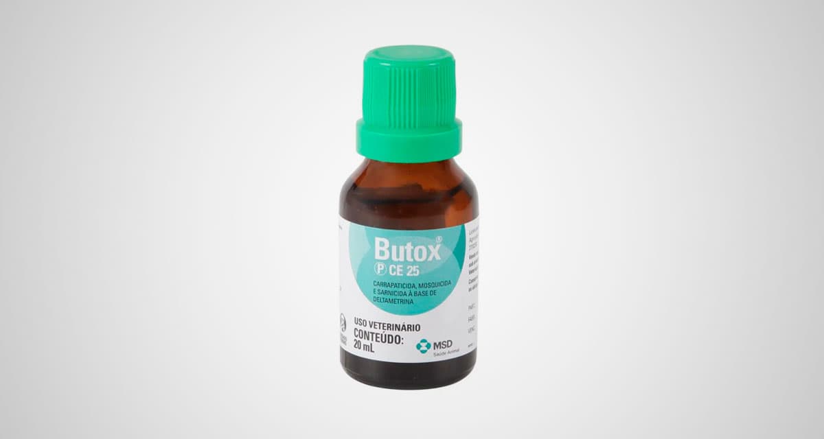 Foto ilustrativa do artigo: Butox: para que serve, como usar (e efeitos colaterais)