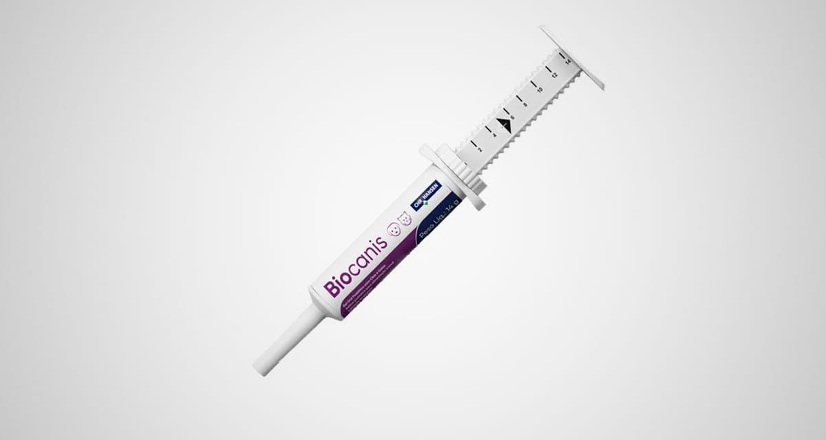 Foto ilustrativa do artigo: Biocanis: para que serve, como dar e efeitos colaterais