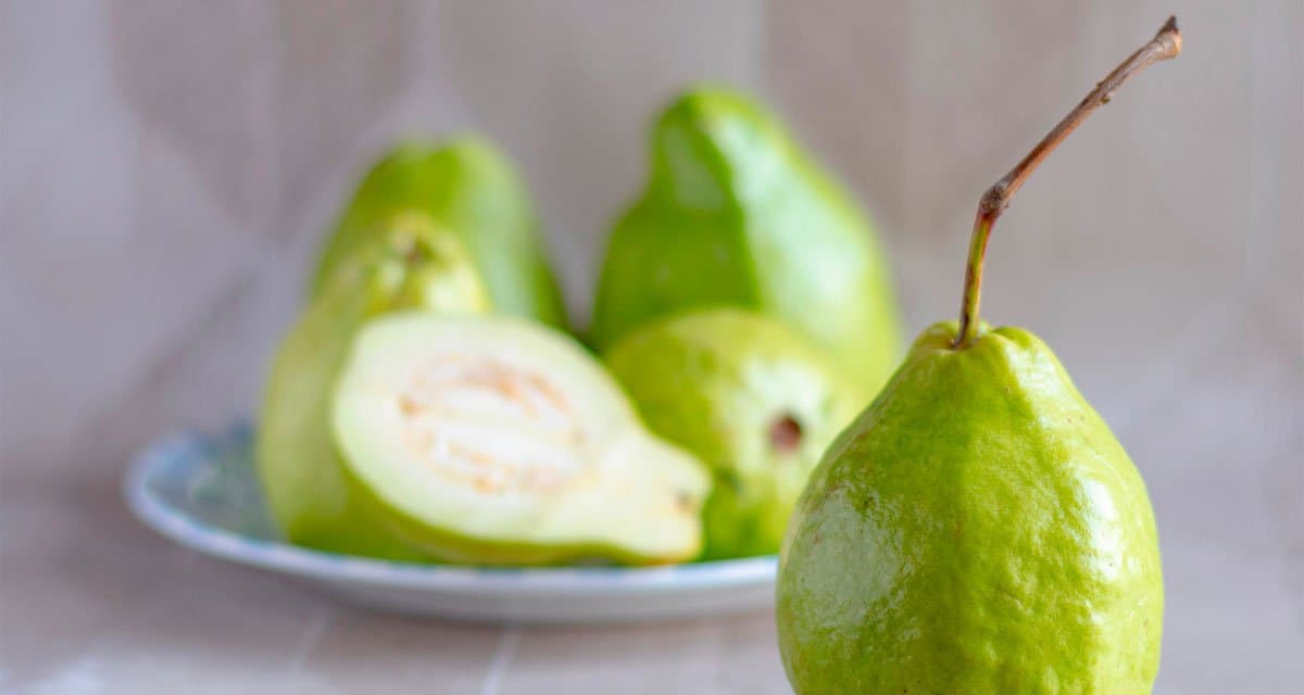 Foto ilustrativa do artigo: Cachorro pode comer goiaba? Benefícios e como dar