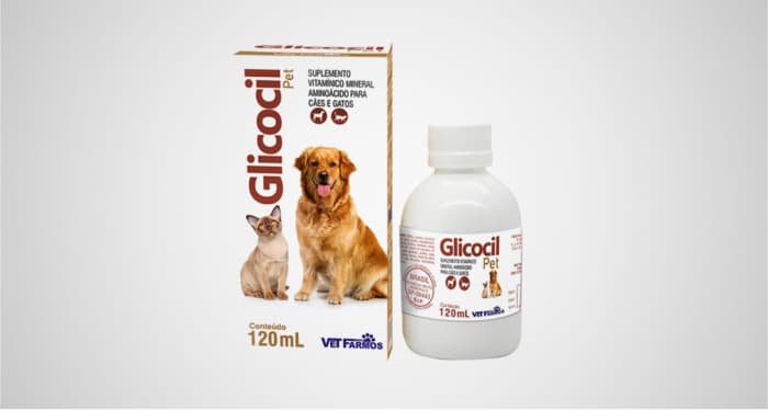Foto ilustrativa do artigo: Glicocil pet: para que serve, como usar e efeitos colaterais
