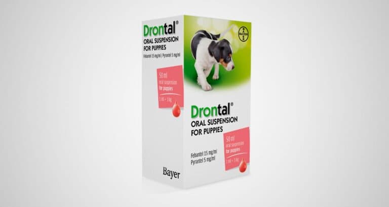 Foto ilustrativa do artigo: Drontal puppy: para que serve, como usar (e efeitos colaterais)
