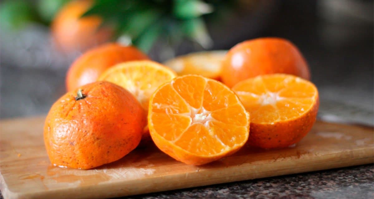 Foto ilustrativa do artigo: Cachorro pode comer tangerina? ou não?