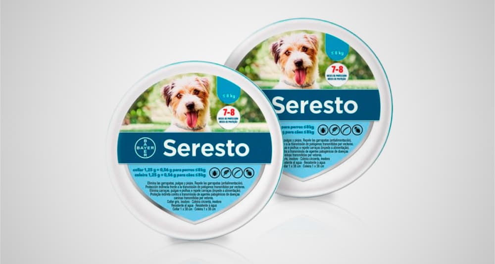 Foto ilustrativa do artigo: Coleira seresto: para que serve, como usar e efeitos colaterais