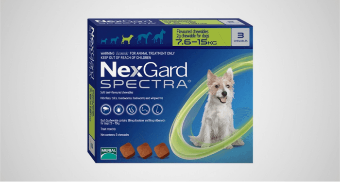 Foto ilustrativa do artigo: Nexgard Spectra: para que serve, diferenças (e como usar)