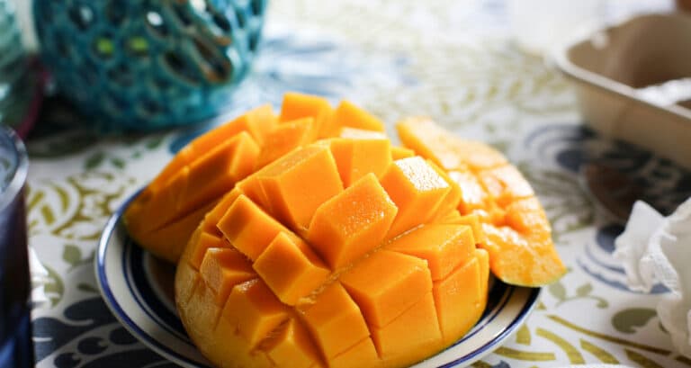 Foto ilustrativa do artigo: Cachorro pode comer manga? (e a casca?)