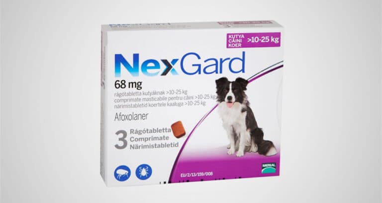 Foto ilustrativa do artigo: Nexgard: para que serve, como usar (e efeitos colaterais)