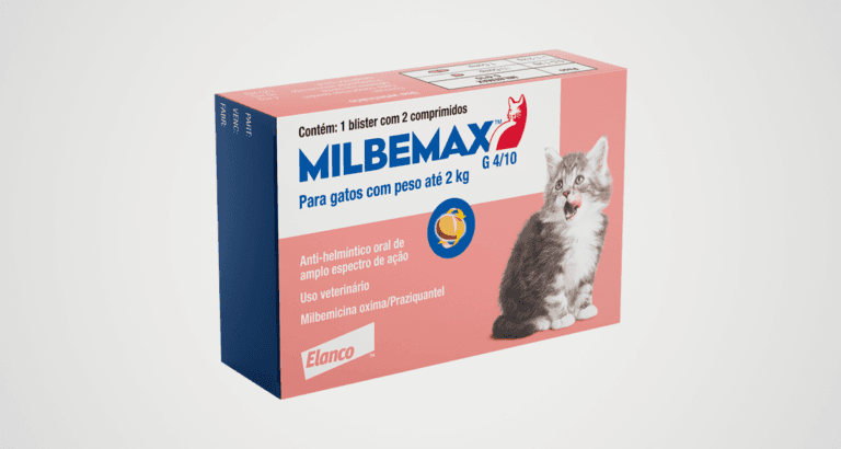Foto ilustrativa do artigo: Milbemax gatos: para que serve, como usar (e efeitos colaterais)
