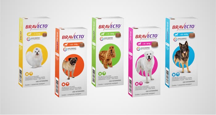 Foto ilustrativa do artigo: Bravecto: para que serve, dose (e quanto tempo dura)